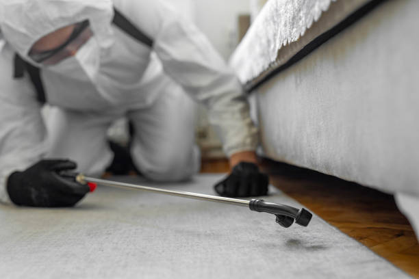 Professional Bed Bug Control technician working in Midland, PA