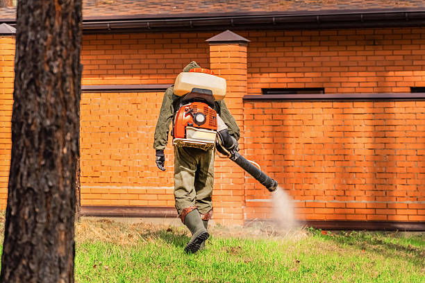 Trusted Cockroach Control service in Midland, PA - Nex Pest Control